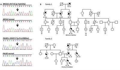 Two Missense Variants Detected in Breast Cancer Probands Preventing BRCA2-PALB2 Protein Interaction